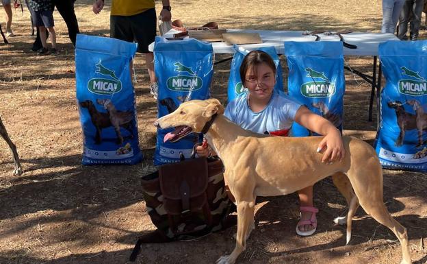 La perra 'Chaparra' de Sergio Duque, ganadora de las carreras de galgos de la Feria de Agosto