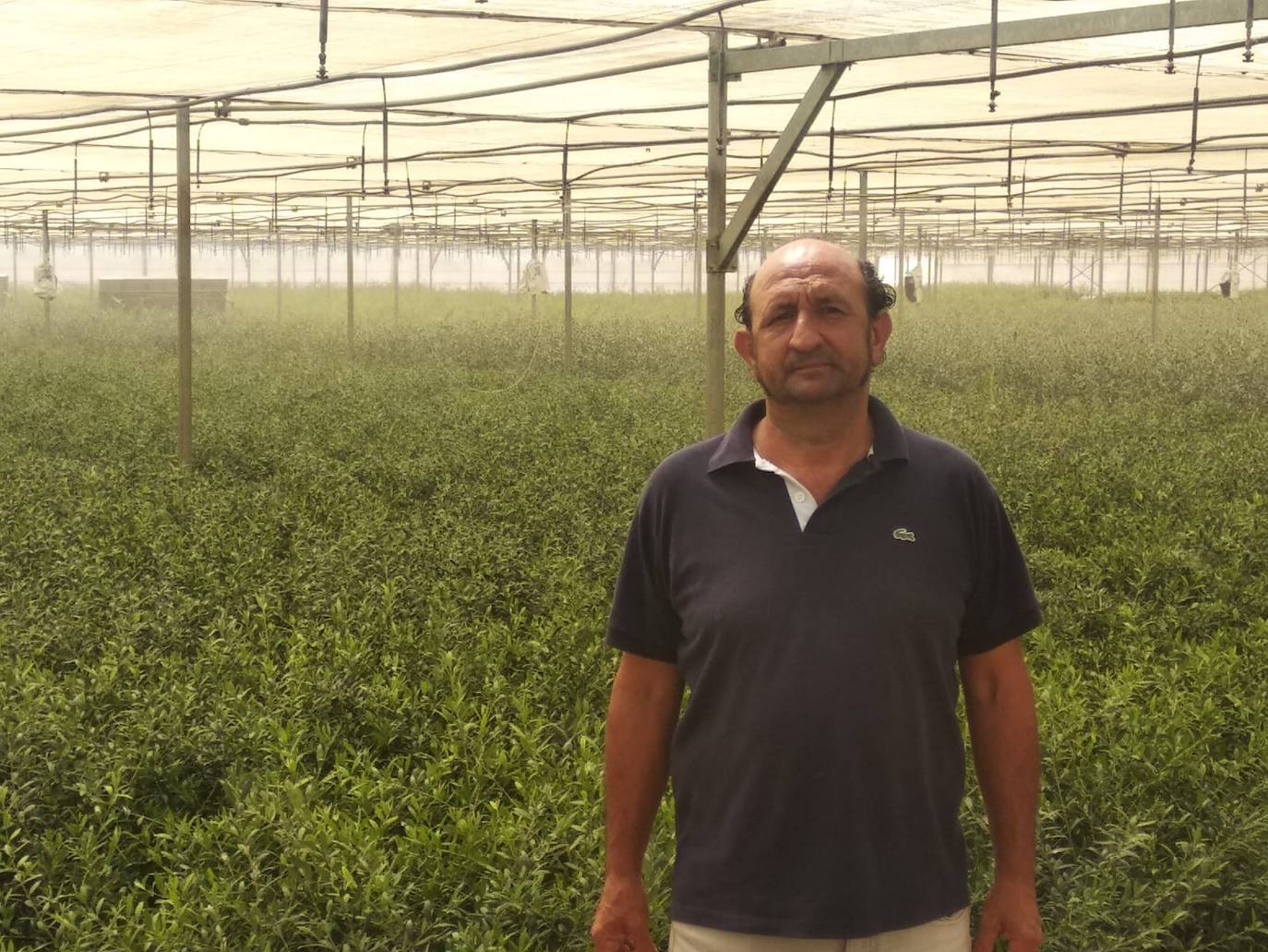 A la empresa Viveros el Castillo se le concederá el distintivos 'Los Santos Excelente'