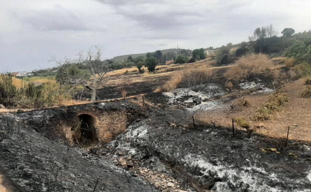 Un incendio de pastos, al inicio del camino del Chapí, fue extinguido anoche por los bomberos