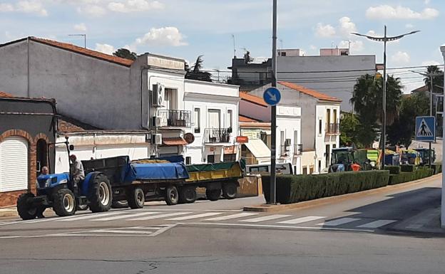 Este lunes comienza en la Cooperativa la vendimia para todas las variedades de uva