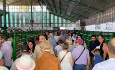 La Feria Internacional Ganadera de Zafra supera todas las expectativas y registra un 20 por ciento más de público