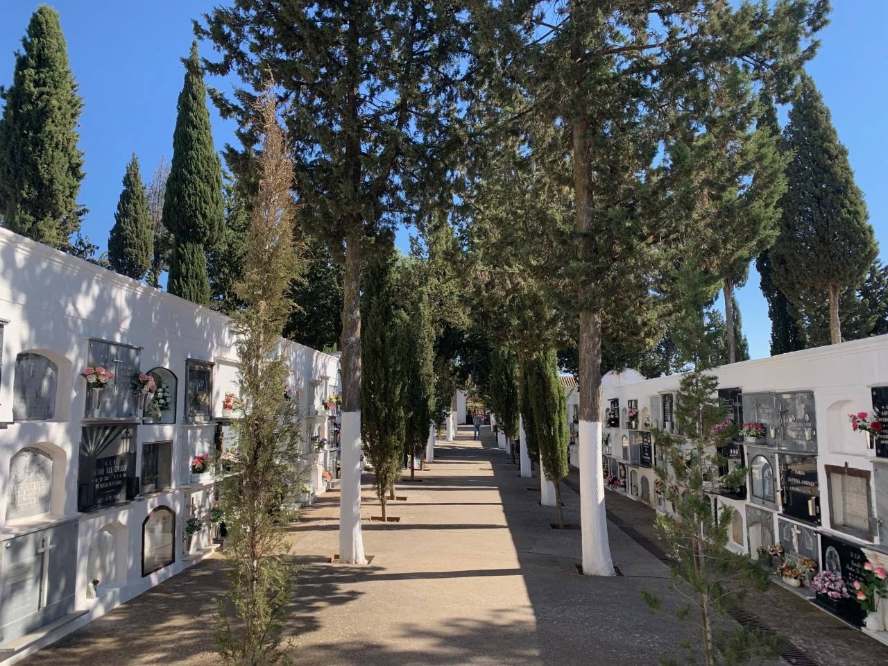 Todo está dispuesto en el cementerio municipal para conmemorar el Día de Todos los Santos y el de los Difuntos