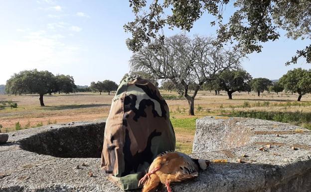 La Sociedad de Cazadores ha soltado 300 perdices para la caza de la perdiz con reclamo
