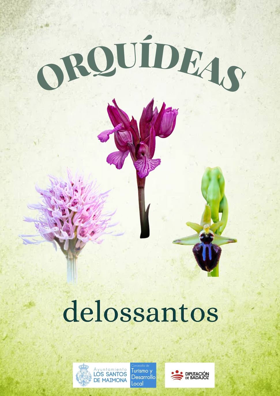 El Ayuntamiento potenciará en FITUR el turismo de naturaleza a través de sus orquídeas