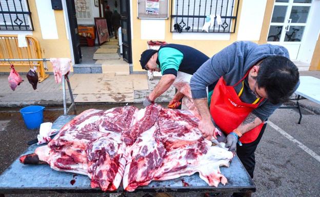 Unas 500 personas han participado en la tradicional matanza extremeña de la asociación gastronómica Gloria
