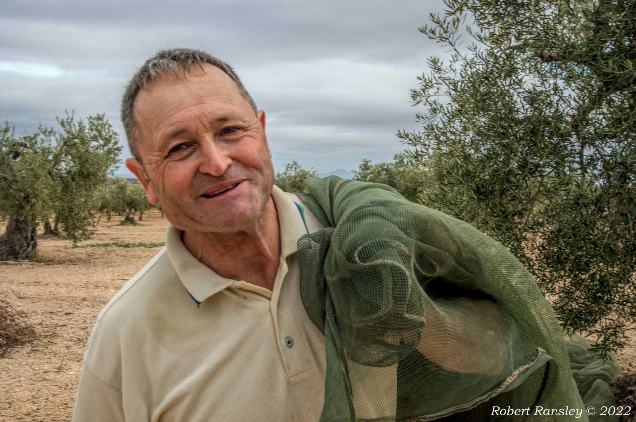 El aceite de oliva de Lorenzo, bajo la mirada de Robert Ransley