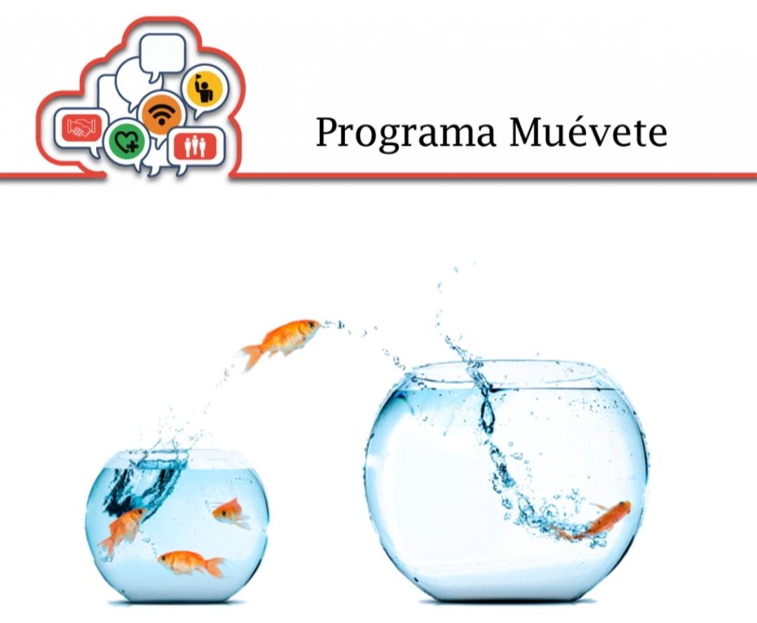Por tercer año el CEIP Romero Muñoz forma parte del programa 'Muévete'