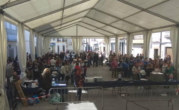 Concursos gastronómicos 'Hoy Cocinamos Todos' y 'Mejor Tapa de Patatera'