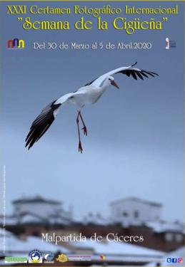 Últimos días para participar en el XXXI certamen fotográfico internacional 'Semana de la Cigüeña' 2020