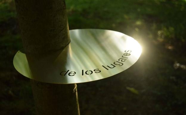 El próximo jueves finaliza el ciclo 'El ojo del elefante. Videoconferencias al otro lado del túnel', con la intervención de Virginia López