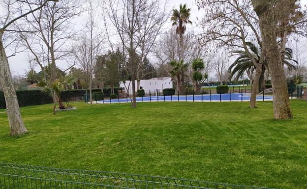 El ayuntamiento replanta el césped de la piscina municipal