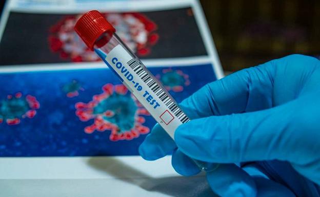 No se detectan positivos en los 220 test de antígenos realizados en el último cribado