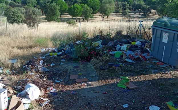 Siguen apareciendo enseres y restos de podas abandonados en las paradas de basura de Las Arenas