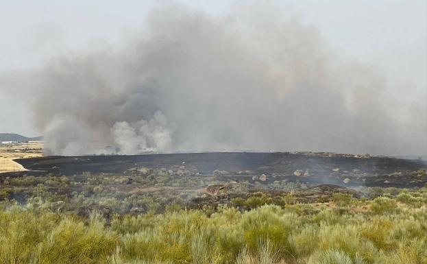 Malpartida de Cáceres es uno de los 16 municipios que se podrán beneficiar de las ayudas para zonas afectadas por los incendios de este verano