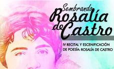 La cuarta edición de Sembrando Literatura versará sobre la poesía de Rosalía de Castro