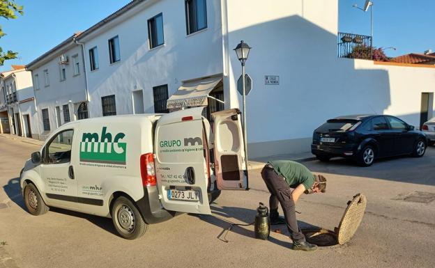 El Ayuntamiento pone en marcha una nueva campaña para combatir las ratas y cucarachas en el municipio