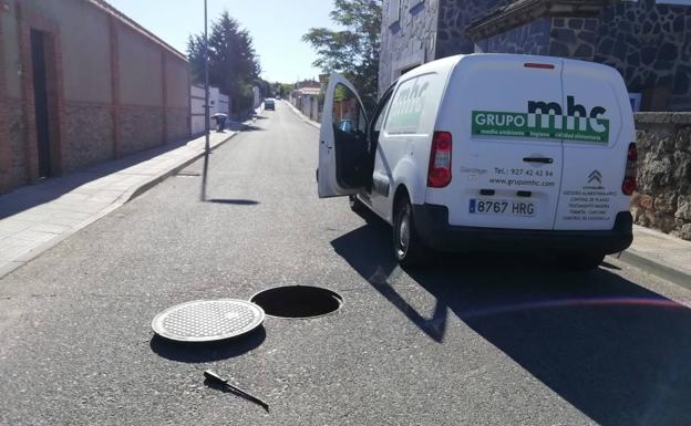 Campaña de desinsectación y desratización en la urbanización Las Arenas