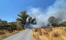 Malpartida de Cáceres ha sufrido un incendio en la zona del paraje de la Huerta de los Lobos