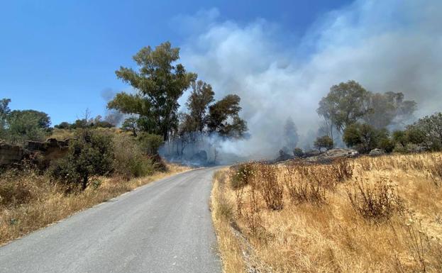 Malpartida de Cáceres ha sufrido un incendio en la zona del paraje de la Huerta de los Lobos
