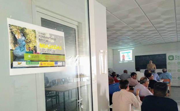 Sesenta empresas de la comarca Miajadas-Trujillo, interesadas en las ayudas de Adicomt
