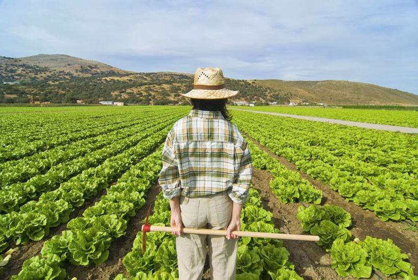 La Asociación de Mujeres Rurales de Miajadas representada en las Jornadas 'Mujer y Medio Rural'
