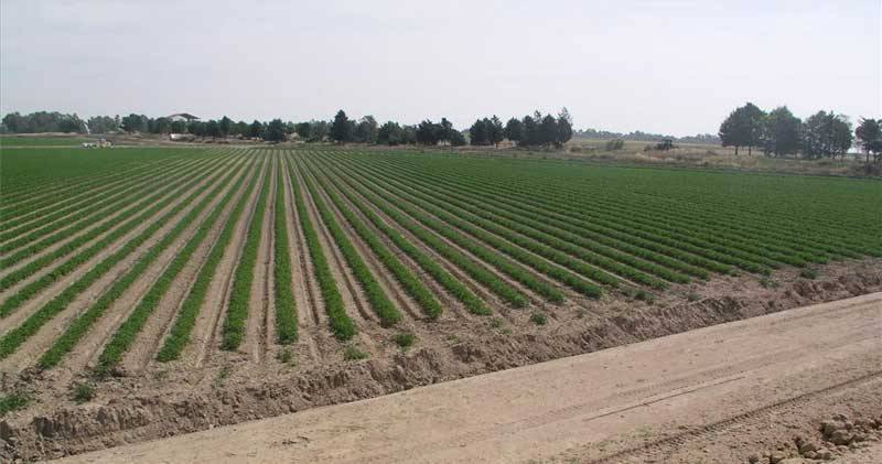 OPINIÓN / El agua, esa preocupación constante de las gentes del campo