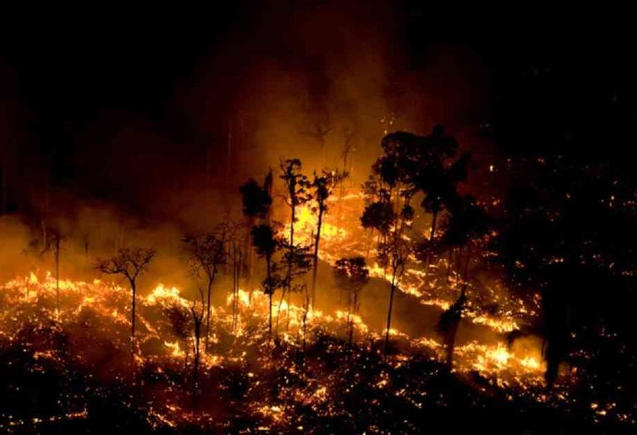Cómo mantenerse ocupados durante el periodo de aislamiento: Noticias que marcaron el 2019