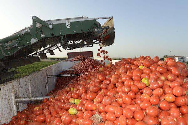 El Partido Popular de Miajadas pide igualdad para todos los agricultores