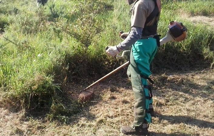 Los propietarios de terrenos urbanos deberán limpiarlos