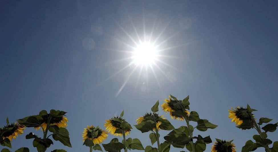 Extremadura alcanzará mañana los 44 grados