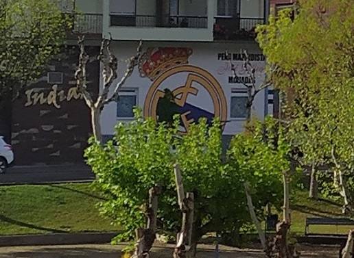 La Peña Madridista pide a la afición que no salga en masa a celebrar la Liga en caso de ganarla