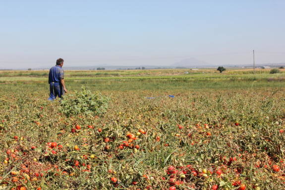 Vergeles exime del uso de la mascarilla a la agricultura, ganadería y la construcción