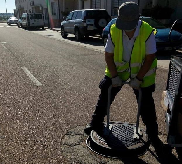 Mañana se realizará una desinsectación de la zona Rollo Blanco – Avda. García Siñeriz