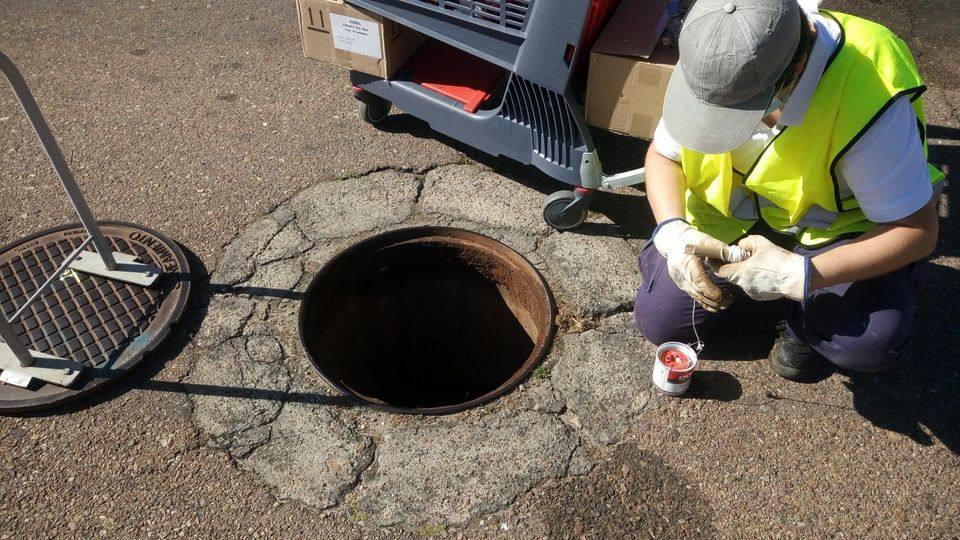 La Zona Norte – Avenida García Siñeriz se someterá a desinsectación