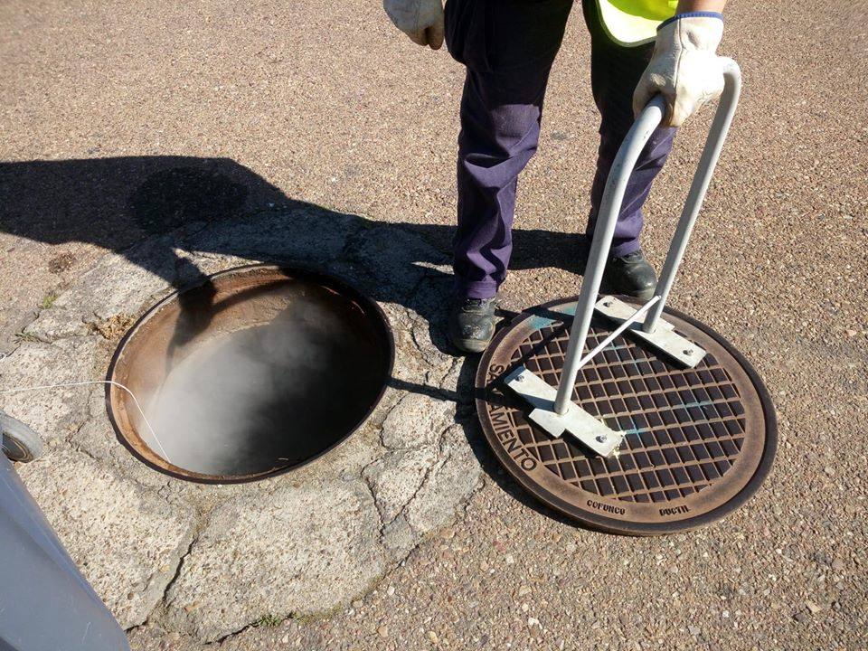 Comienzan las labores de desinsectación de la Avenida García Siñeriz