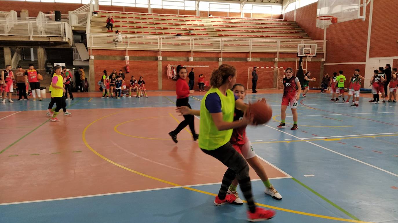 El Club Baloncesto Miajadas forma el equipo Senior Femenino