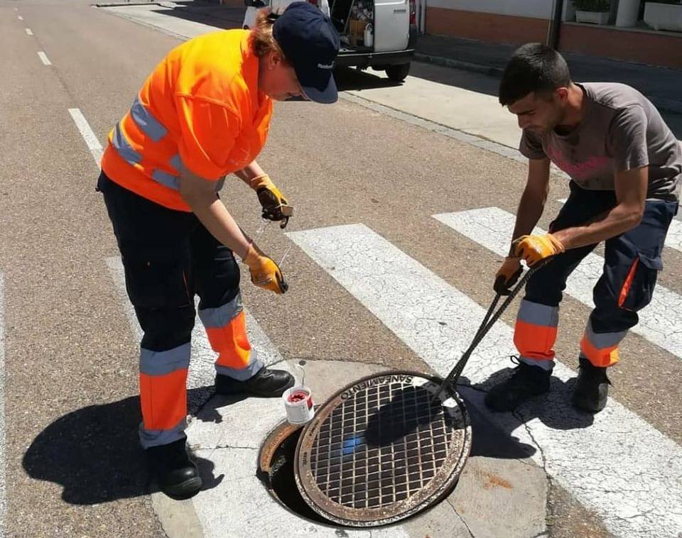 Los operarios realizarán tratamientos de desinsectación en Alonso de Ojeda