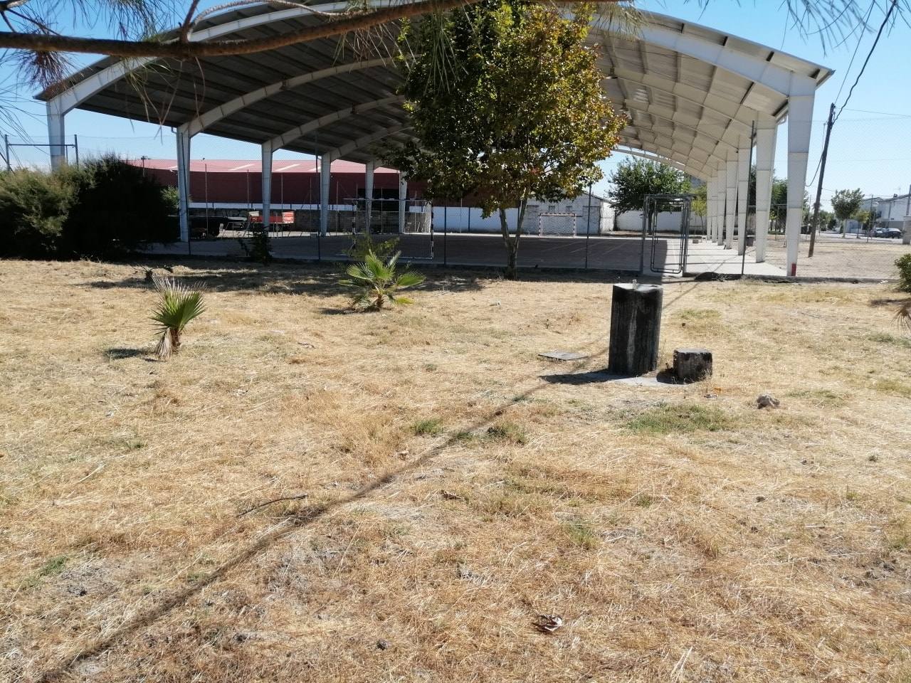 Finalizan los trabajos de desbroce integral en Alonso de Ojeda
