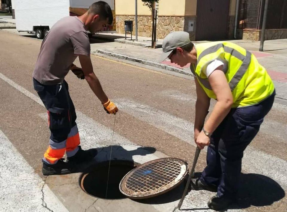 Los trabajos de desinsectación comenzarán mañana en Casar de Miajadas