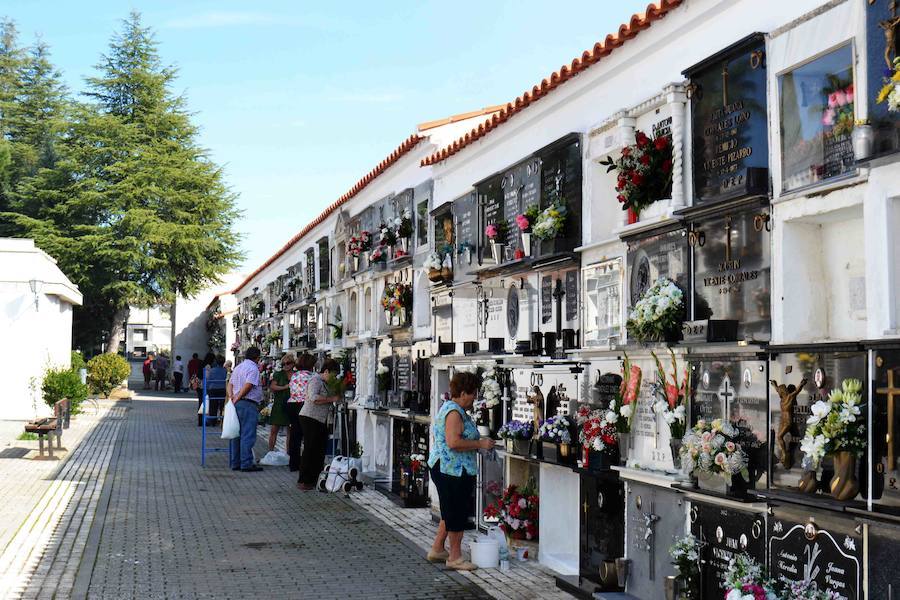 Se vigilará la venta de flores para el Día de Todos los Santos