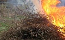 Hay que solicitar permiso para la quema de restos vegetales en época de peligro bajo de incendios