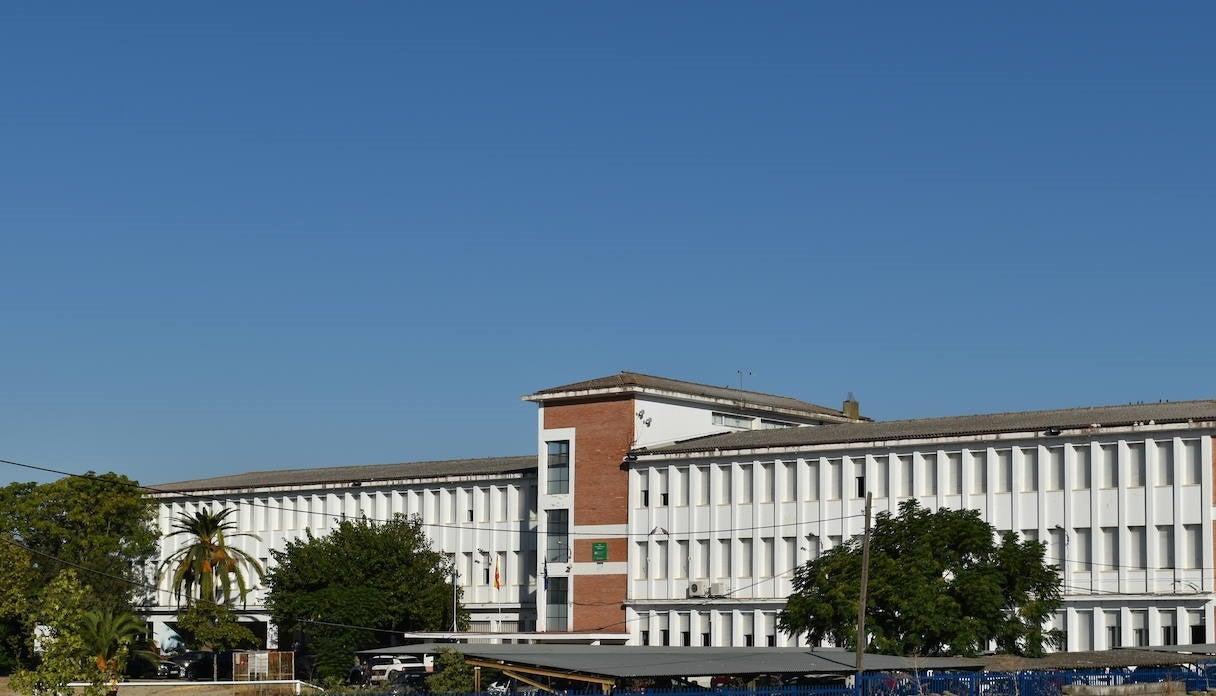 Bachillerato, FP, E.S.O., enseñanza de adultos y de régimen especial se reincorporarán a las clases de forma online
