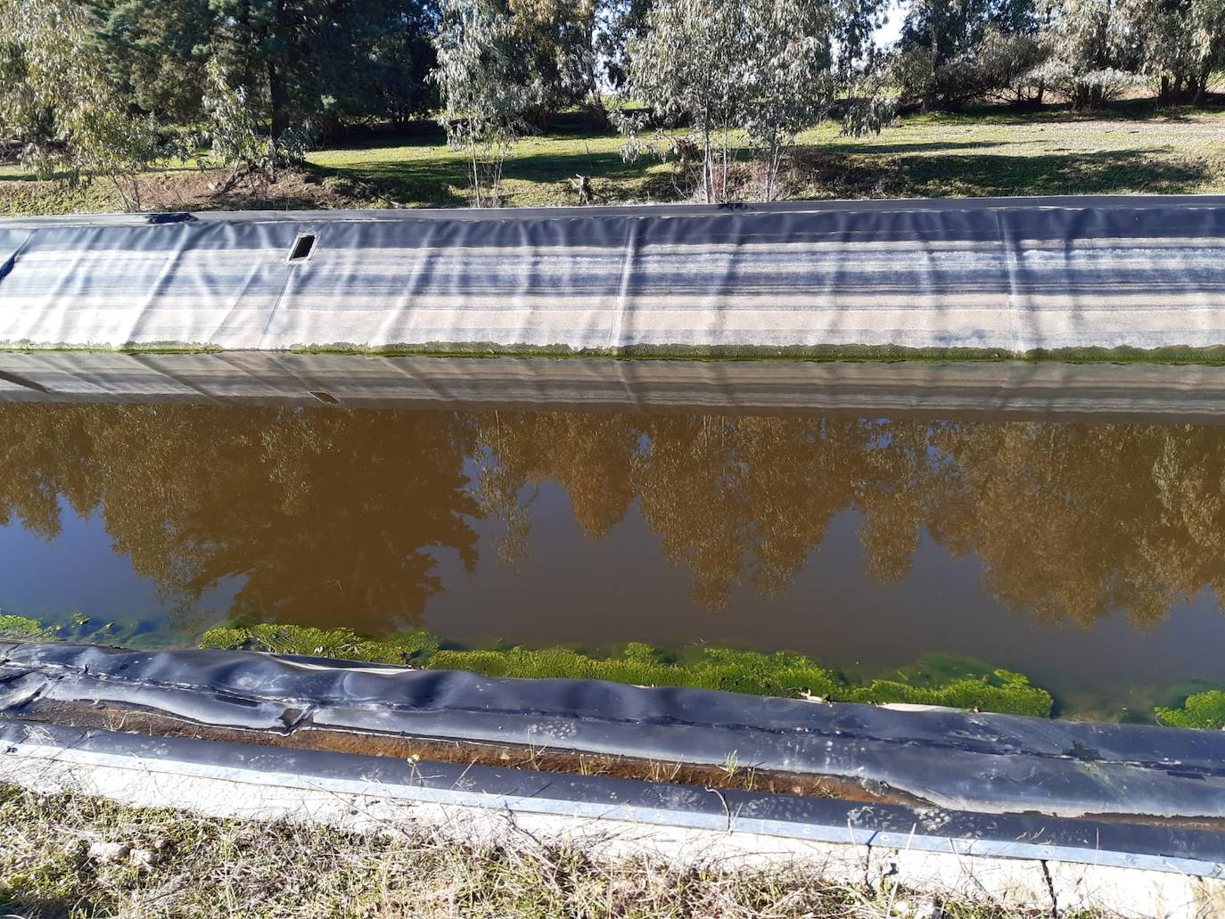 Aparece ahogado un vecino de Miajadas en el Canal de Orellana
