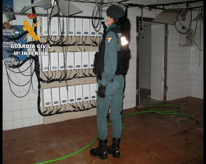 La Guardia Civil desmantela en Miajadas una instalación de cultivo y producción 'Indoor' de marihuana