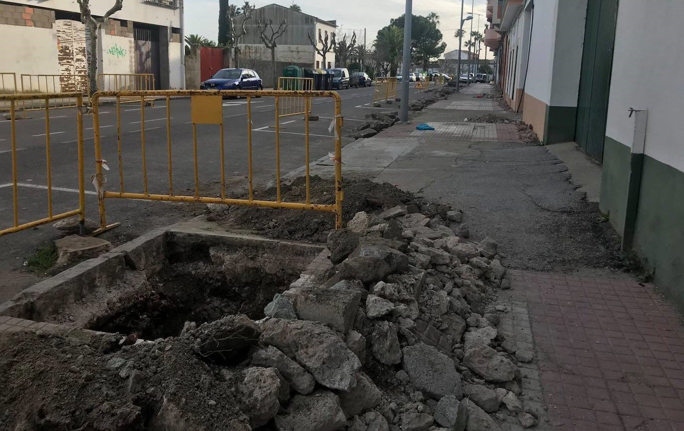 Los árboles de la avenida Trujillo serán reubicados en el acerado para aprovechar el aparcamiento