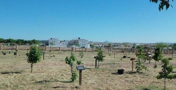 Vuelve 'Crece conmigo' para conmemorar los nacimientos del 2020