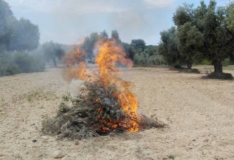 El Ayuntamiento recuerda que es necesario comunicar previamente la quema de restos vegetales