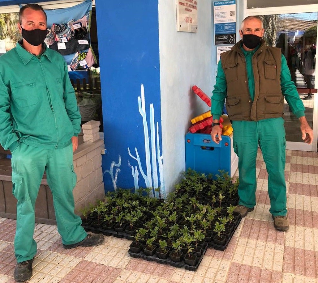 El Servicio de Jardinería regala 100 macetas de 'Tagete' a la escuela infantil Arco Iris