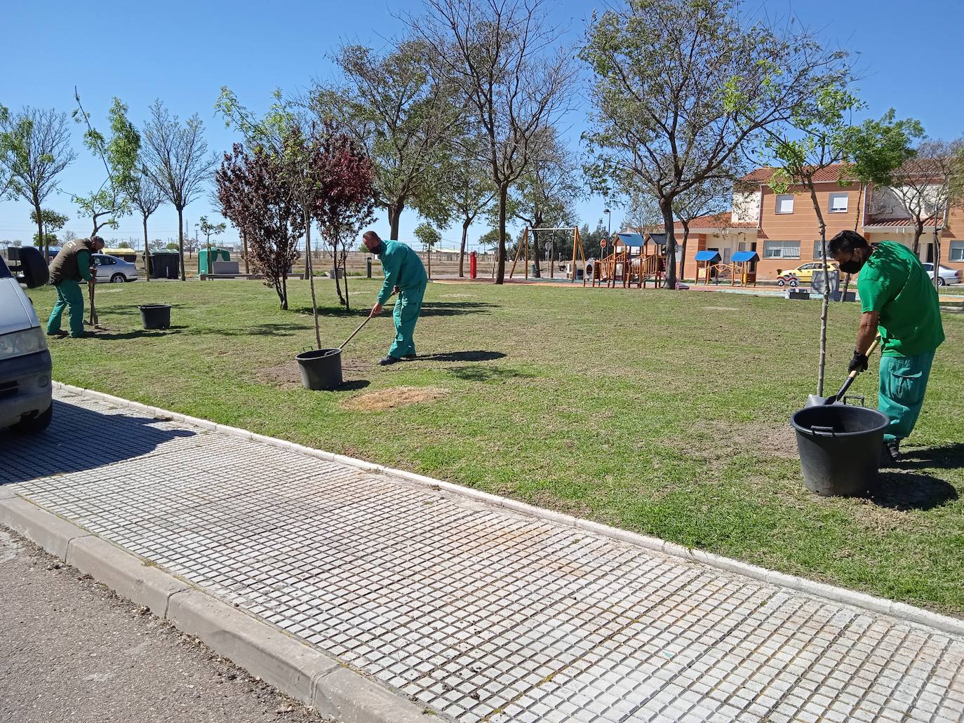 Plantación de Fresnos en el Parque de la Música para dar sombra