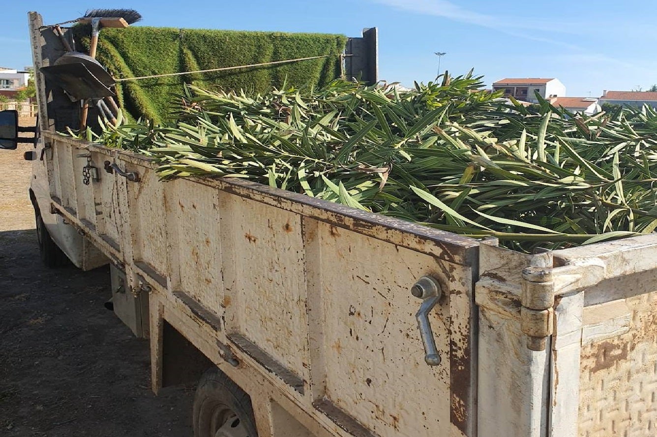 Adelfas tronchadas, árboles arrancados y gomas de riego destrozadas en la zona del mercadillo